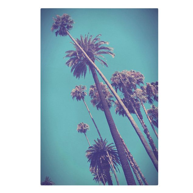 Prints flower Tropical Plants Palm Trees And Sky