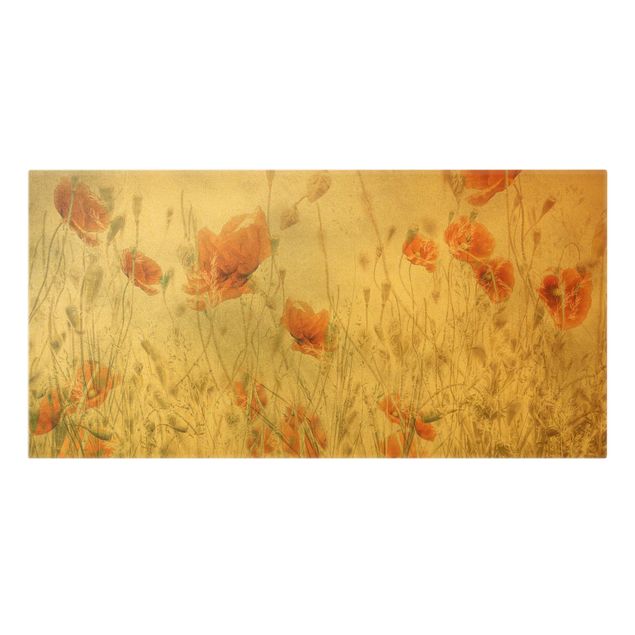 Floral canvas Poppy Flowers And Grasses In A Field