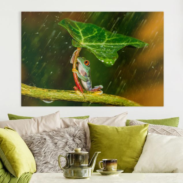 Kitchen Frog In The Rain