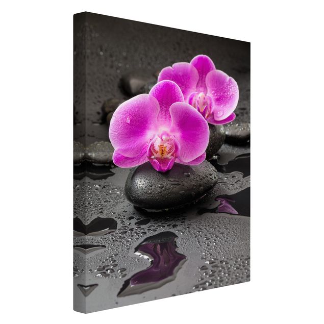 Canvas stone Pink Orchid Flower On Stones With Drops