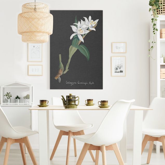 Orchid canvas wall art White Orchid On Linen II