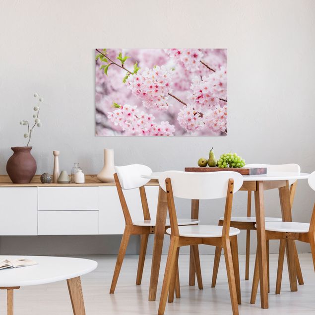 Asian wall prints Japanese Cherry Blossoms