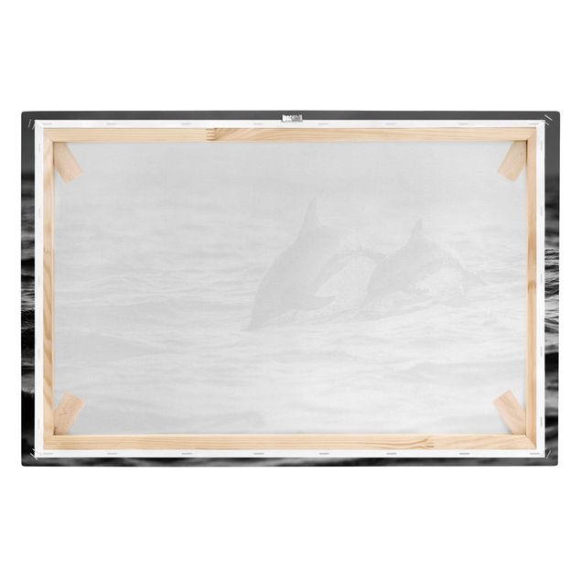 Black and white art Two Jumping Dolphins