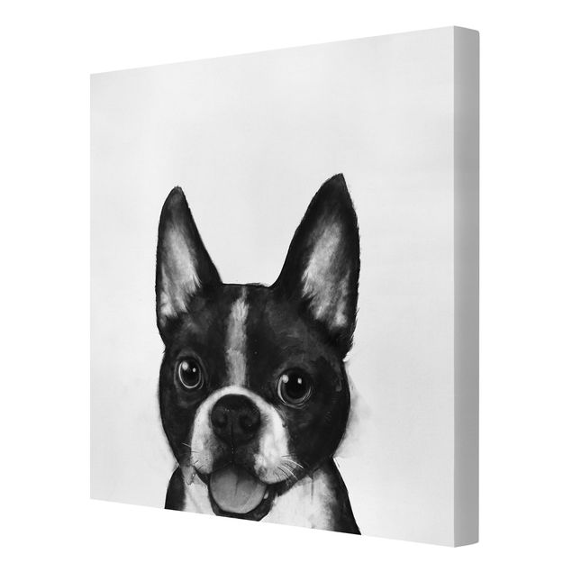 Canvas black and white Illustration Dog Boston Black And White Painting