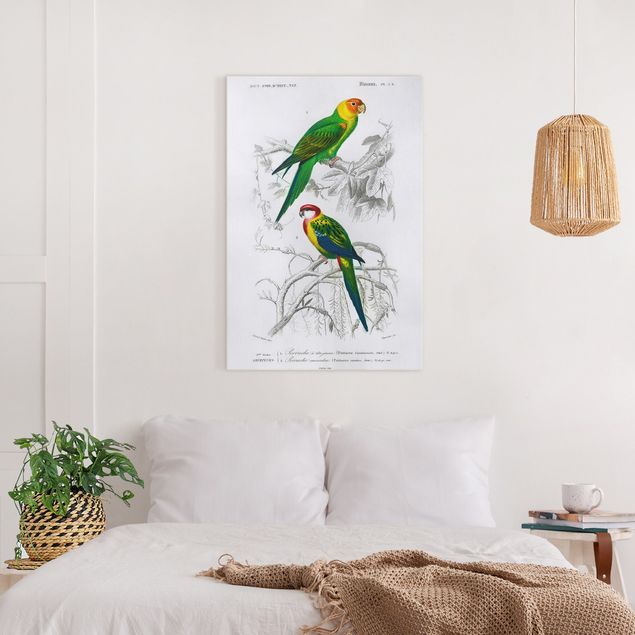 Prints vintage Vintage Wall Chart Two Parrots Green Red