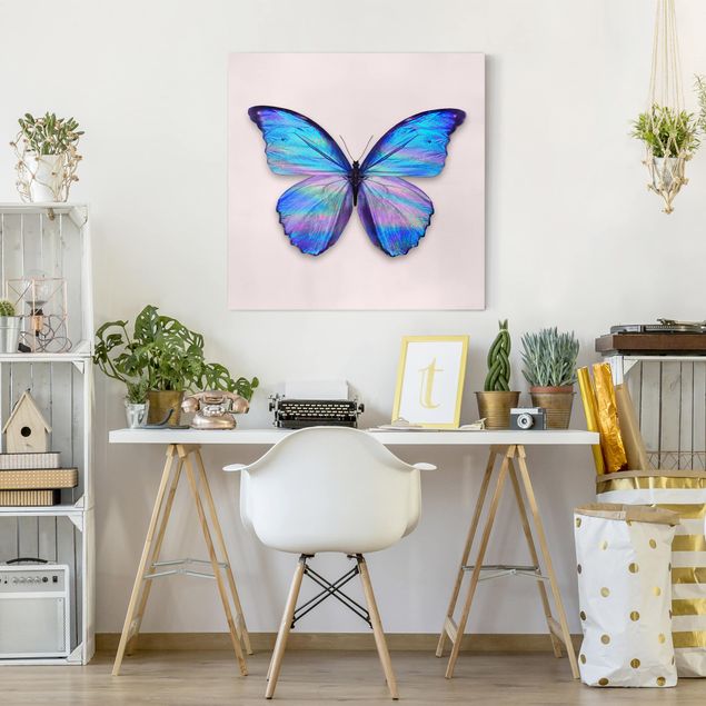 Butterfly framed art Holographic Butterfly