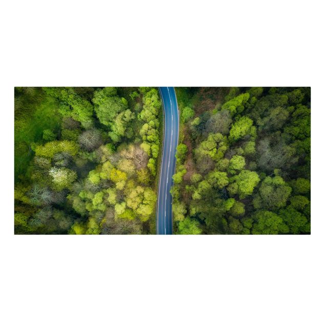 Canvas landscape Aerial View - Asphalt Road In The Forest