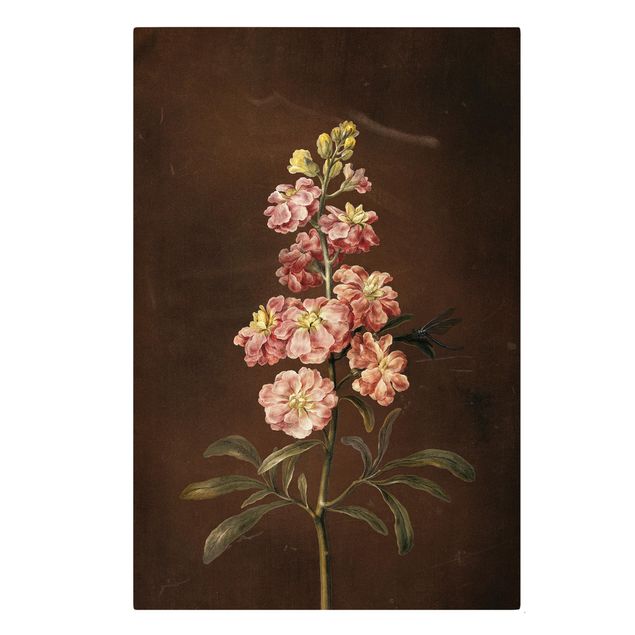 Flower print Barbara Regina Dietzsch - A Light Pink Gillyflower