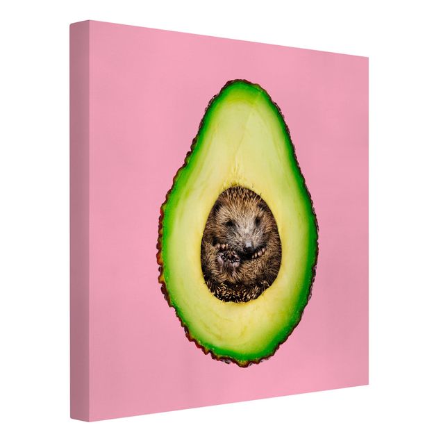 Animal canvas Avocado With Hedgehog
