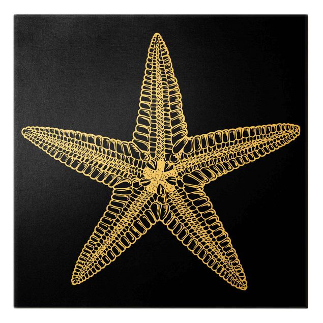 Black prints Illustration Starfish On Black