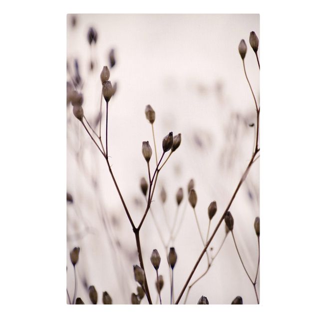 Prints modern Dark Buds On Wild Flower Twig