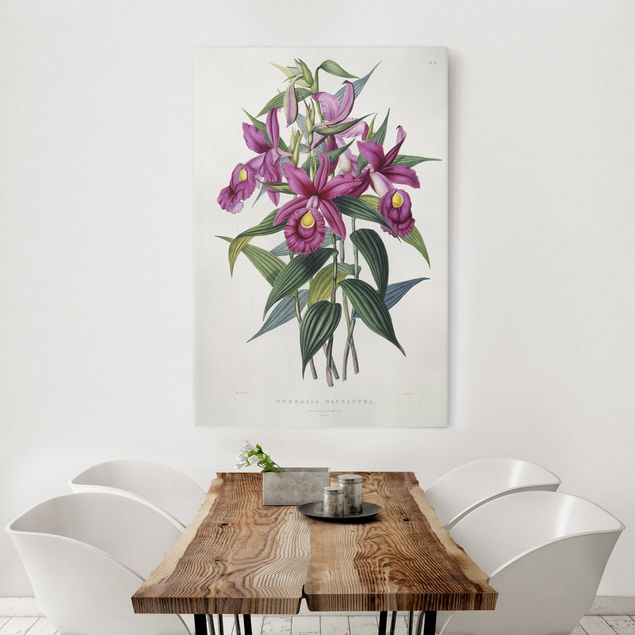 Art styles Maxim Gauci - Orchid I