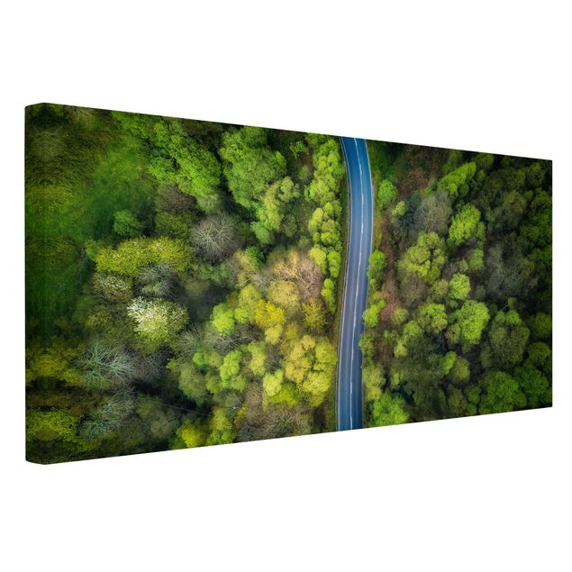 Modern art prints Aerial View - Asphalt Road In The Forest
