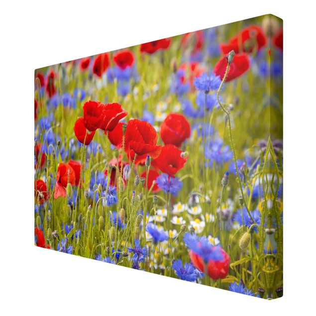 Floral canvas Summer Meadow With Poppies And Cornflowers