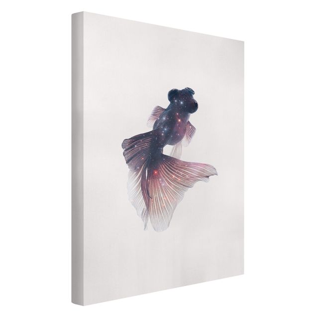 Canvas art Fish With Galaxy