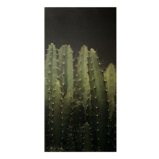 Modern art prints Desert Cactus At Night