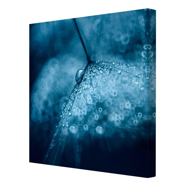 Navy wall art Blue Dandelion In The Rain