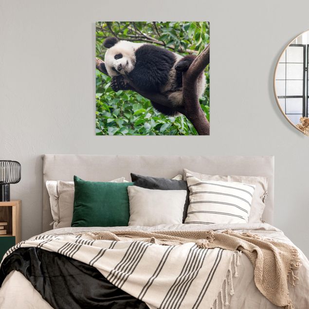 Jungle animal prints Sleeping Panda On Tree Branch