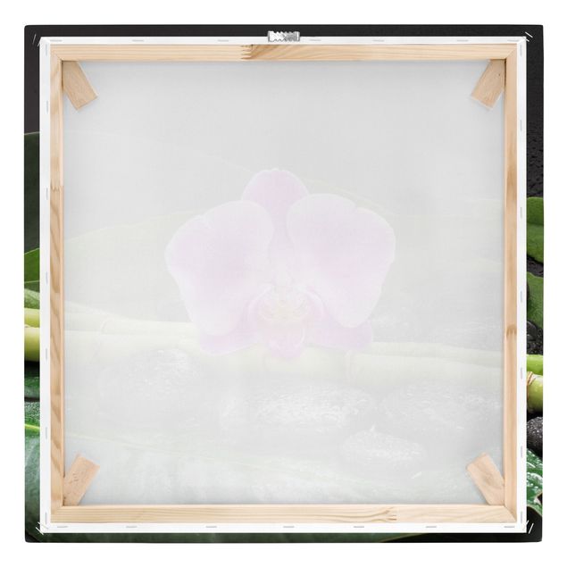 Art posters Green Bamboo With Orchid Flower