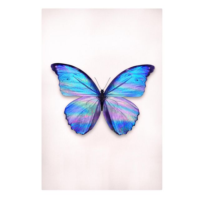 Canvas art Holographic Butterfly