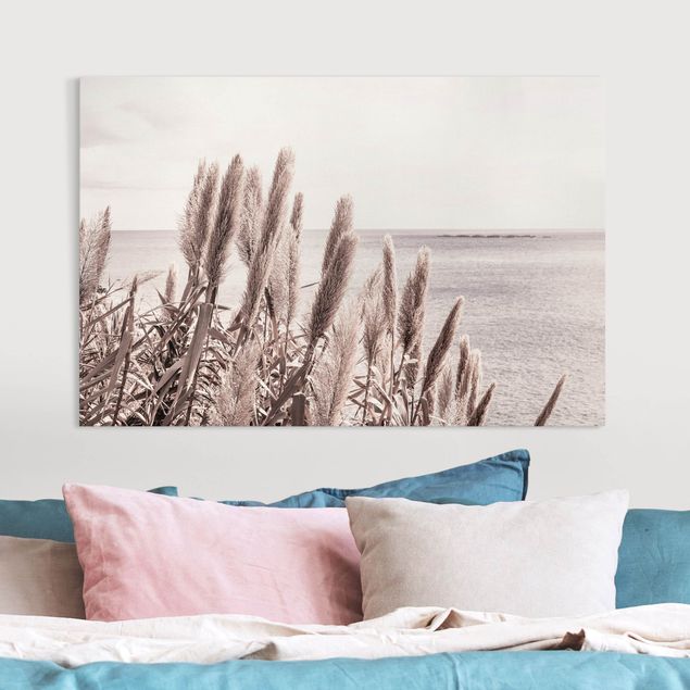 Canvas prints grasses A Sunny Day On Madeira