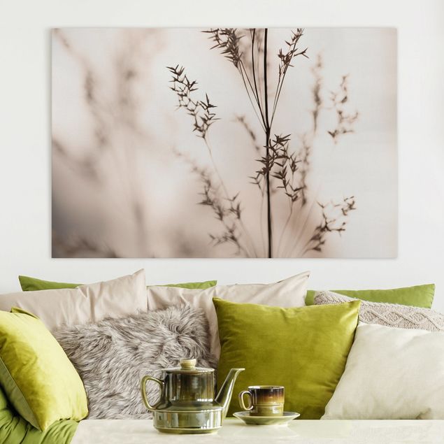 Canvas prints grasses Elegant Grass In The Shadow