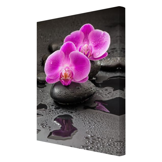 Canvas art Pink Orchid Flower On Stones With Drops