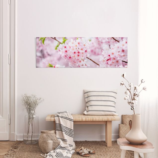 Canvas prints Asia Japanese Cherry Blossoms