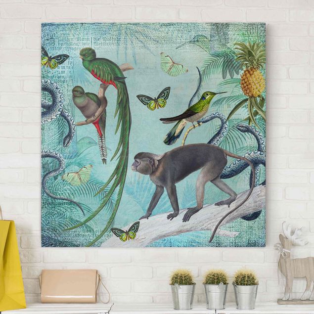 Kitchen Colonial Style Collage - Monkeys And Birds Of Paradise