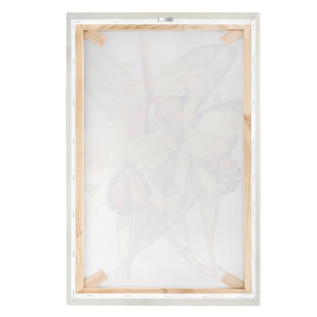 Vintage wall art Walter Hood Fitch - Orchid