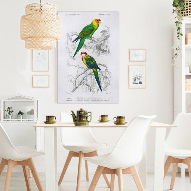 Bird canvas wall art Vintage Wall Chart Two Parrots Green Red
