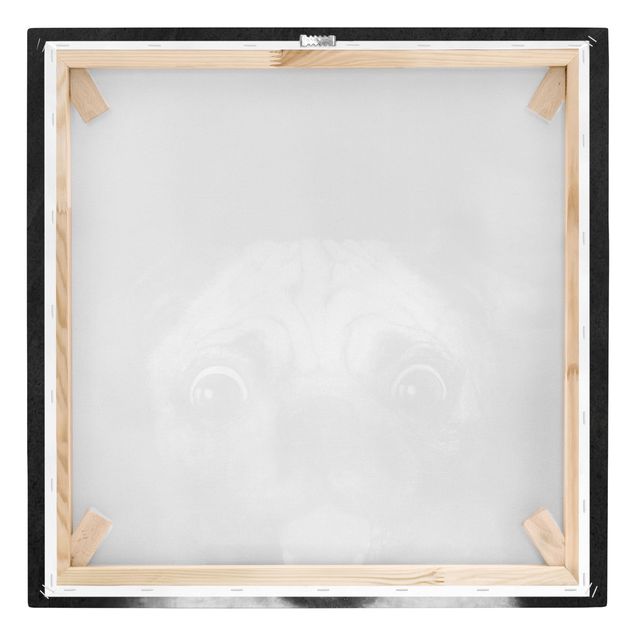 Black and white wall art Illustration Dog Pug Painting On Black And White