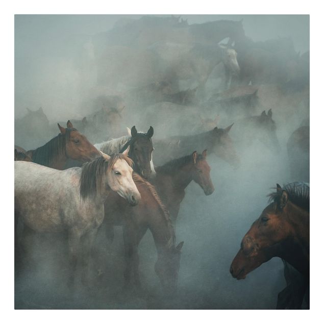 Contemporary art prints Wild Horses