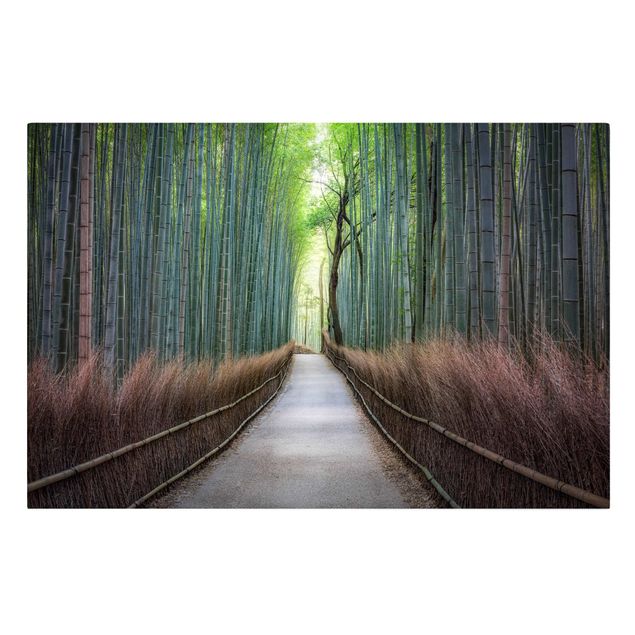 Prints modern The Path Through The Bamboo