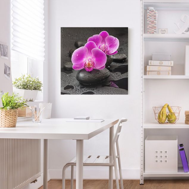 Orchid wall art Pink Orchid Flower On Stones With Drops