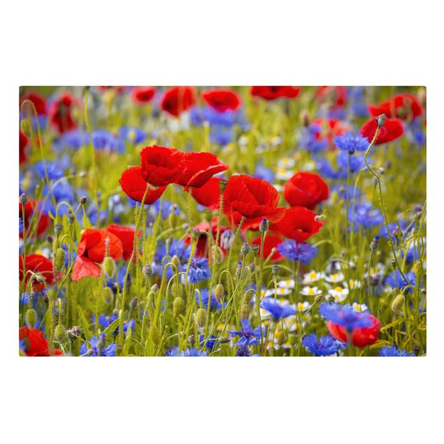 Canvas prints art print Summer Meadow With Poppies And Cornflowers