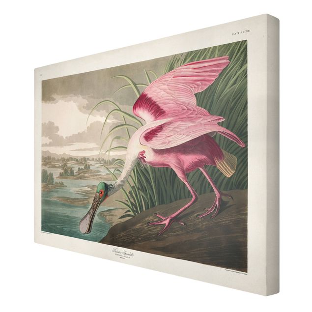 Retro prints Vintage Board Pink Sturgeon