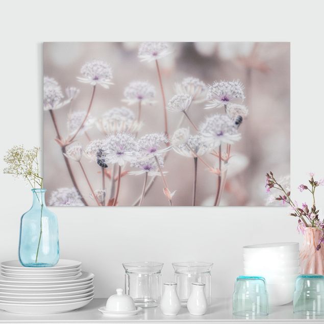 Canvas prints grasses Wild Flowers Light As A Feather