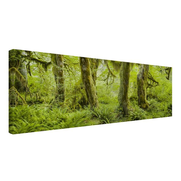 Contemporary art prints Hall Of Mosses Olympic National Park