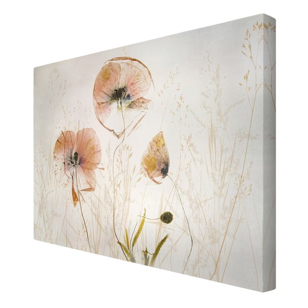 Floral prints Dried Poppy Flowers With Delicate Grasses
