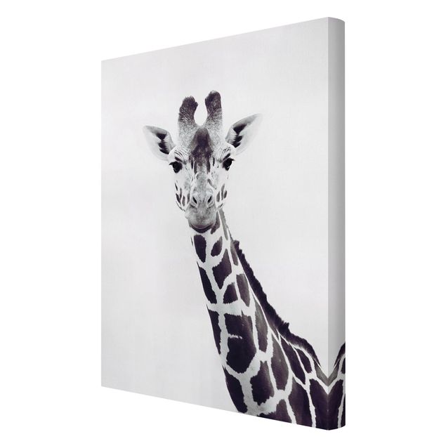 Modern art prints Giraffe Portrait In Black And White