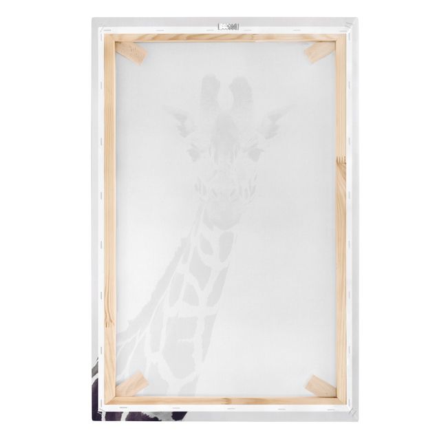 Prints black and white Giraffe Portrait In Black And White