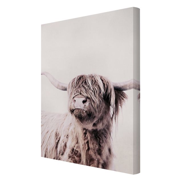 Monika Strigel Art prints Highland Cattle Frida In Beige