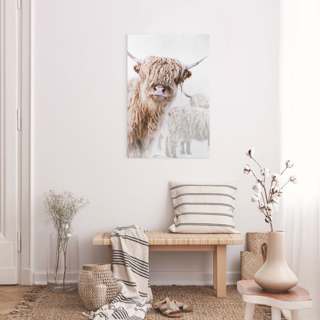 Contemporary art prints Highland Cattle Karlo
