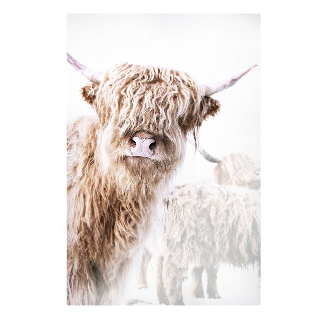 Monika Strigel Art prints Highland Cattle Karlo