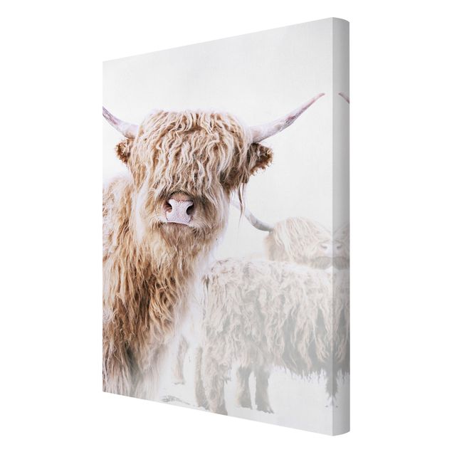 Prints Highland Cattle Karlo