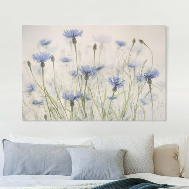 Canvas prints grasses Cornflowers And Grasses In A Field