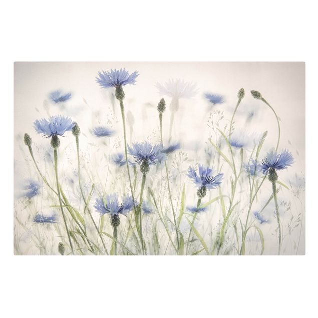 Contemporary art prints Cornflowers And Grasses In A Field
