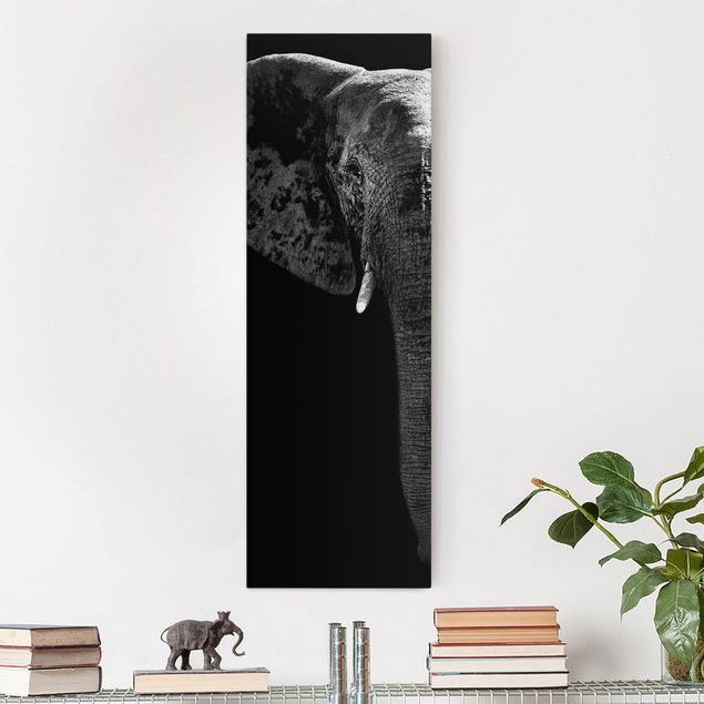 Kitchen African Elephant black and white