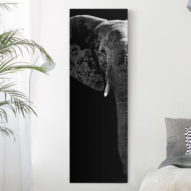 Canvas prints elefant African Elephant black and white